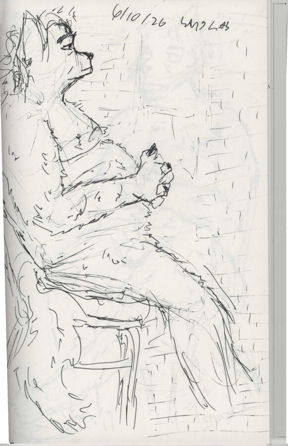 Untitled Untitled